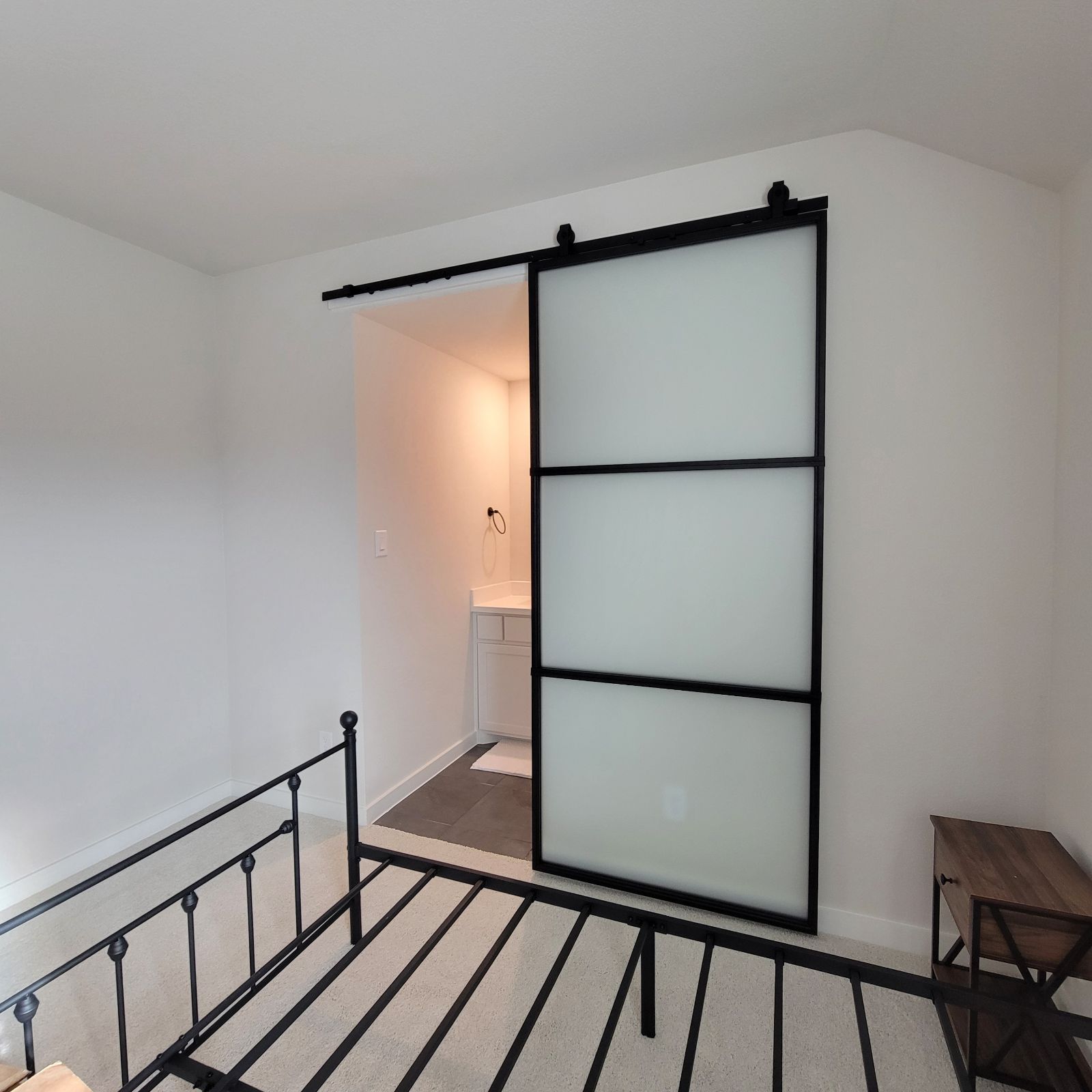 Frosted Glass Barn Door